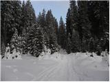 Planina Zajavornik - Vrh Razora